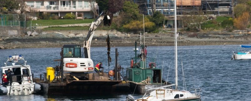 RCMP scooping up illegal mooring buoys in Oak Bay, Victoria. Photo courtesy the Times Colonist